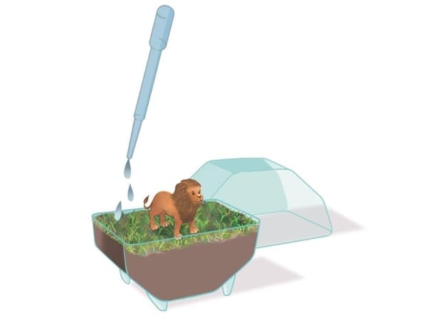 Clementoni Mini-terrarium – Lejon