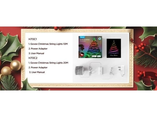 Govee Christmas String Lights 2 - 30 Meter