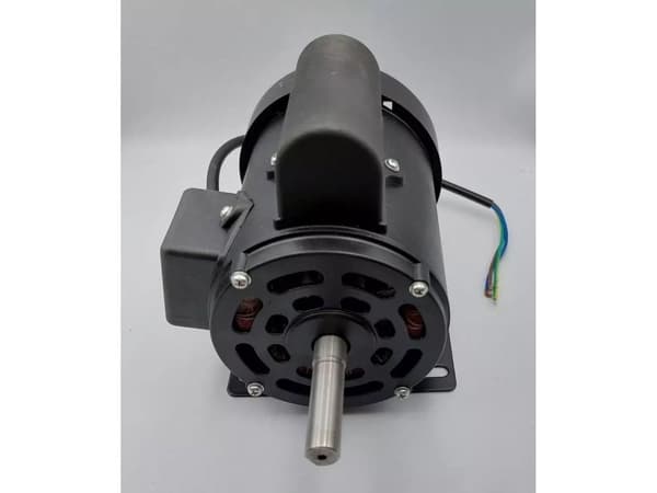 Dedra elektrisk motor