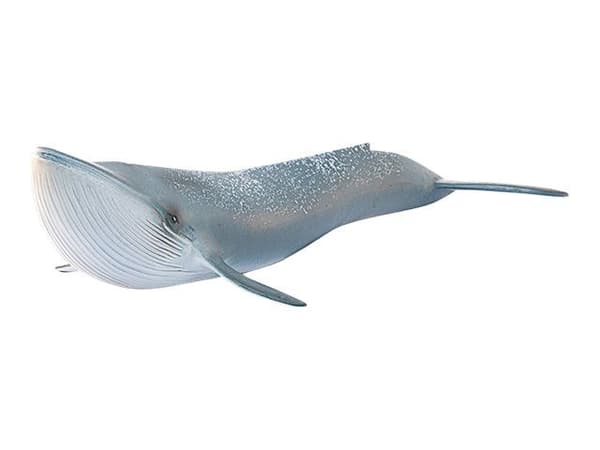Schleich Blåhval