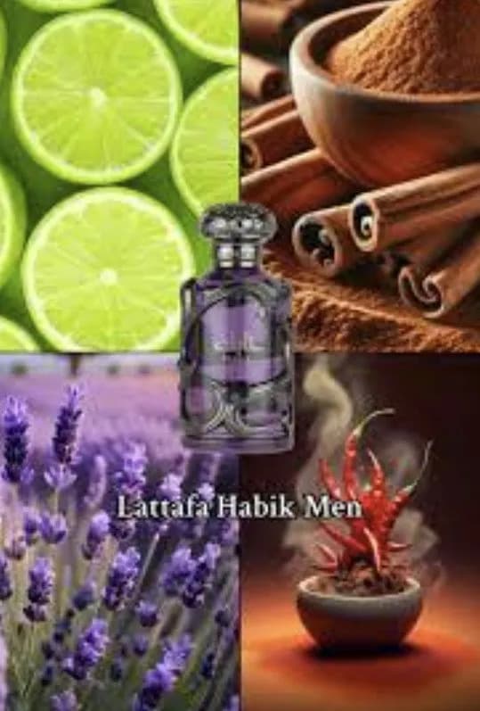 Lattafa Habik EDP M 100 ml