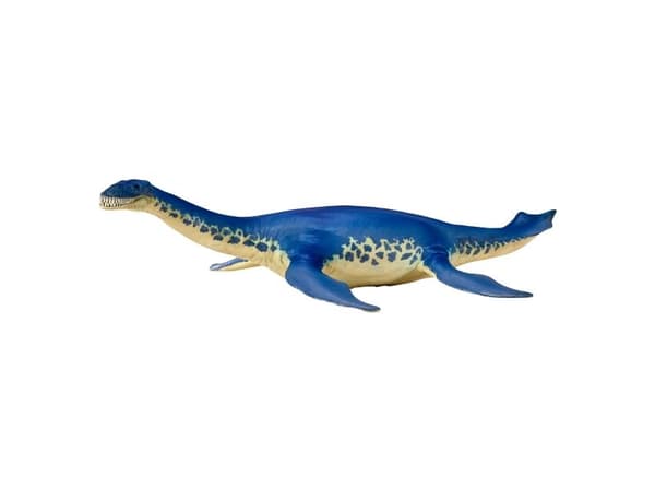 Cryptoclidus