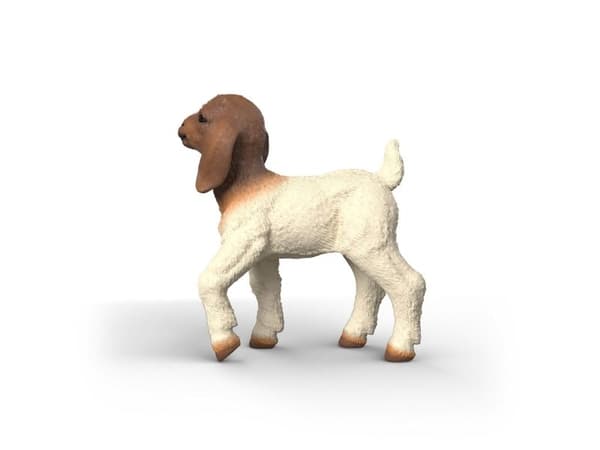 Schleich Boer- geitekid