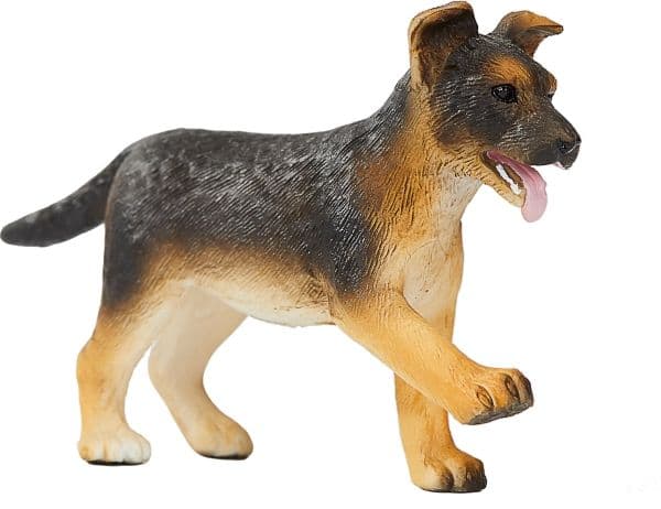 Mojo saksanpaimenkoiran pentu