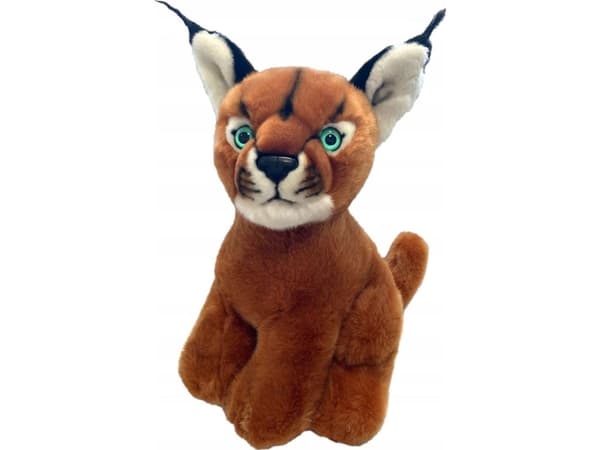 Dubi karakaali 30cm