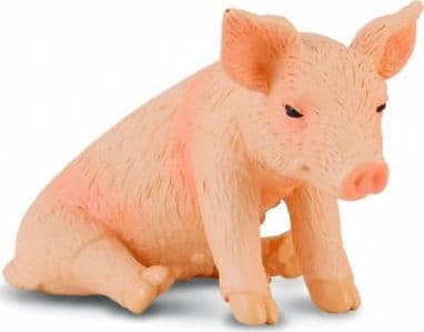 SITTING PIGLET (S) kosedyr