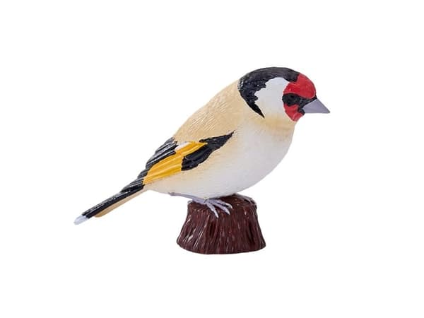 European Goldfinch