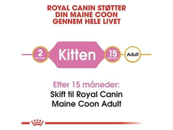 Royal Canin Maine Coon Kitten torrfoder för kattungar – 10 kg