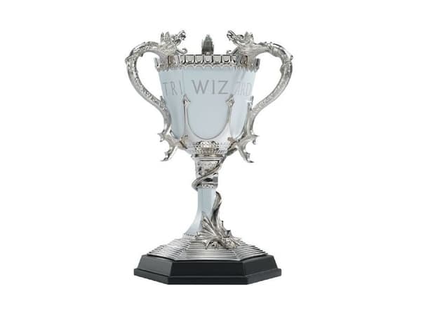 Triathlon cup