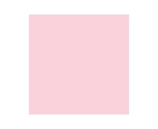 Promarker Pale Pink R519