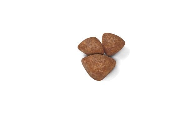 Royal Canin Mini Starter tørfoder til hund og hvalp - 8 kg