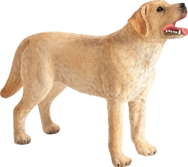 Mojo Labradorinnoutaja