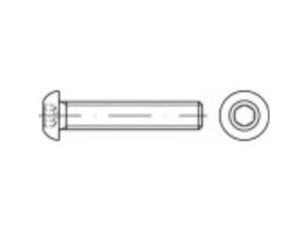 TOOLCRAFT linseskruer M5 25 mm innvendig sekskant rustfritt stål A4 500 stk