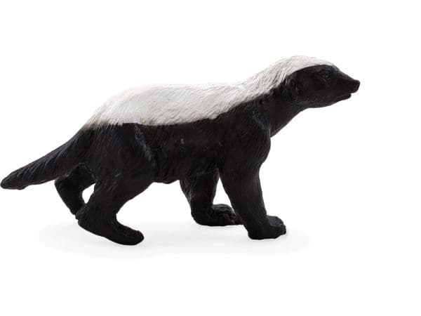 Mojo Badger uros