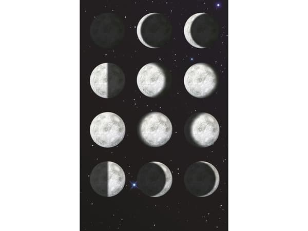 Brainstorm My Very Own Moon