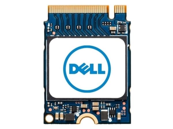 DELL AB673817, 1 TB, M.2