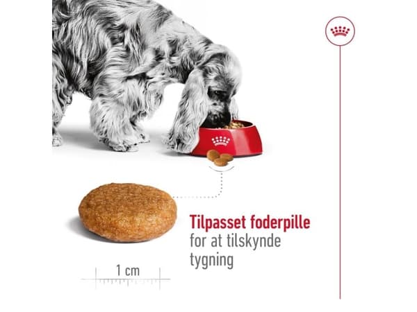 Royal Canin Medium Adult tørfoder til hund - 10 kg