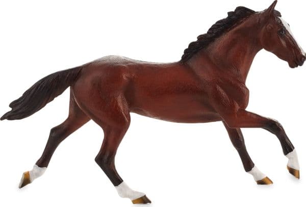 Mojo Thoroughbred Hest