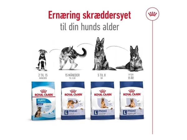 Royal Canin Maxi Adult tørfoder til hund - 10 kg