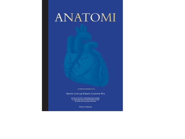 Anatomi | Henrik Lind og Robert Coumine Riis