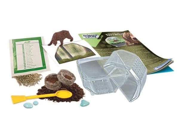 Clementoni Mini-terraariokarhu