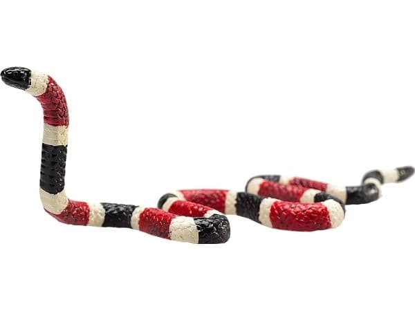 Mojo Coral Snake