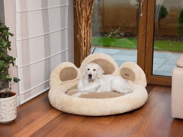 Hobbydog L LAPA EXCLUSIVE BEZ