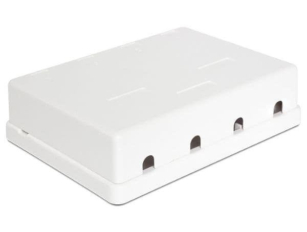Delock Keystone Surface Mounted Box - Chassi med modulär insättning - vit - 4 portar