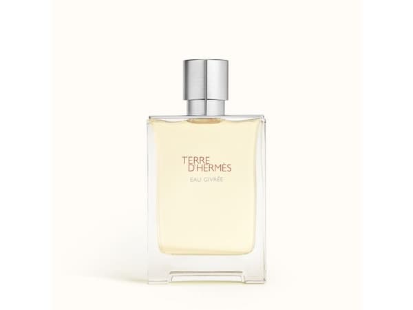 Hermès Terre d'Hermes Eau Givrée EDP 100 ml
