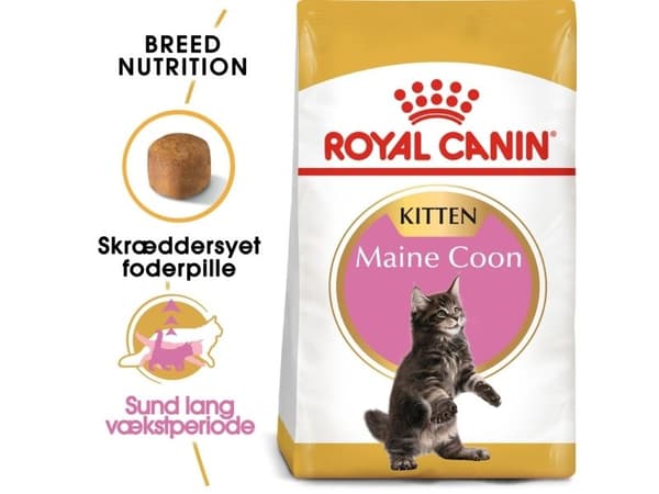 Royal Canin Maine Coon Kitten torrfoder för kattungar – 10 kg