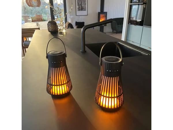 SOUNDLIVING Flame högtalare