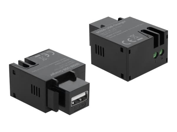 Delock - Modulinnlegg - USB-lading - svart