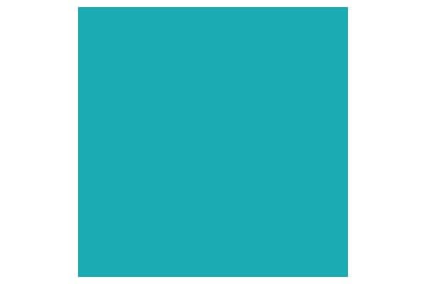 Promarker Turquoise C247