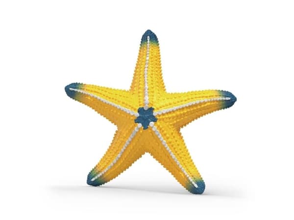 Schleich Starfish with color change