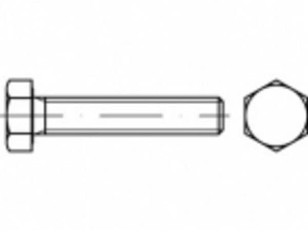 TOOLCRAFT sekskantbolt M10 20 mm utvendig sekskant rustfritt stål A5 1 stk