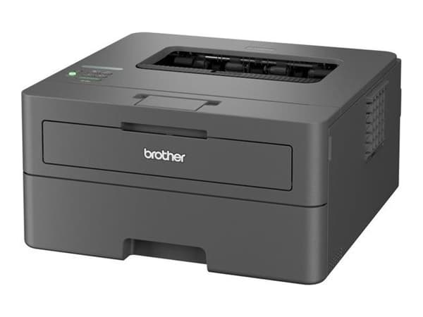 Brother HL-L2400DW Mono laser printer
