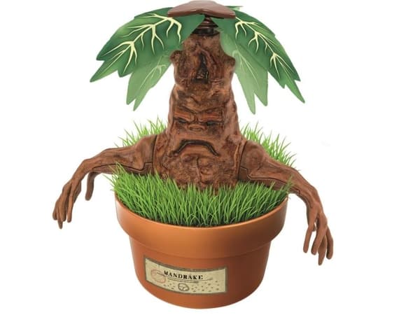 Harry Potter - Mandragora