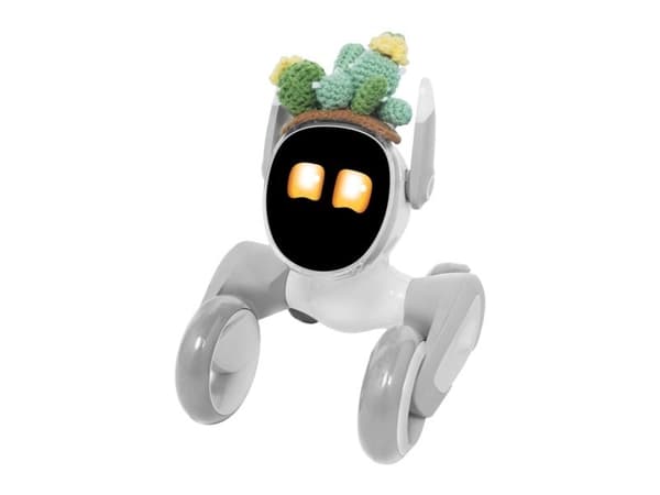 Knitted costume for Loona Premium Cactus