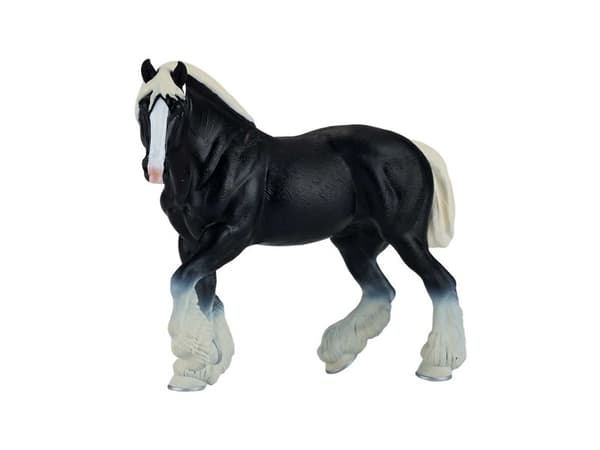 Mojo Clydesdale hest, Sort
