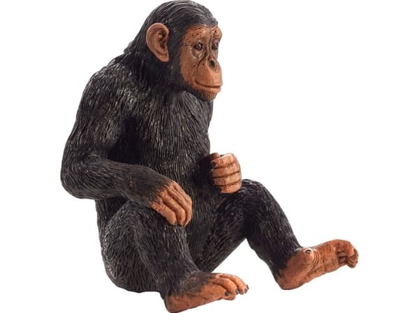 Mojo Chimpanse