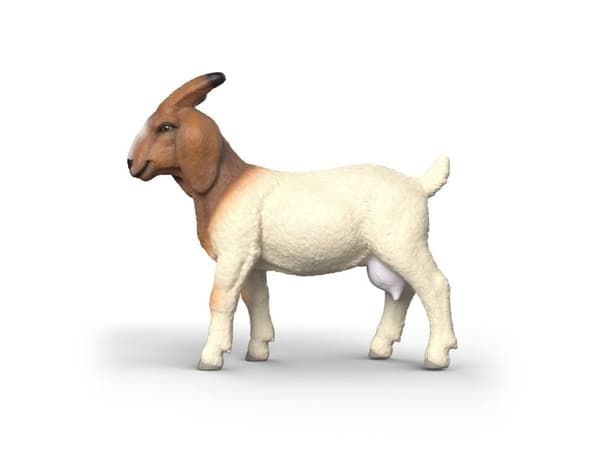 Schleich geitebukk