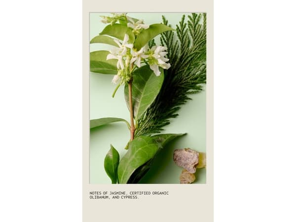 Aveda Sap Moss Weightless Hydration Shampoo