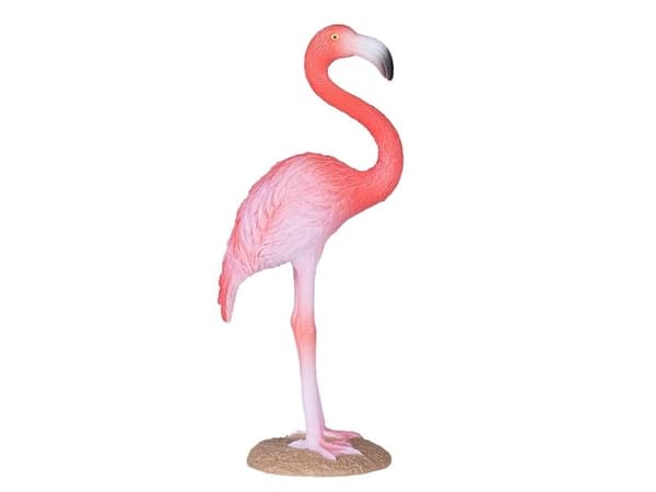 Mojo American Flamingo