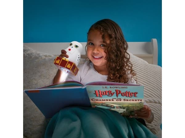 Hedwig GoGlow Buddy bedside Night Light and Torch