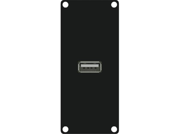 Caymon modul med USB 2.0 Type A-anslutning (CASY161/B)