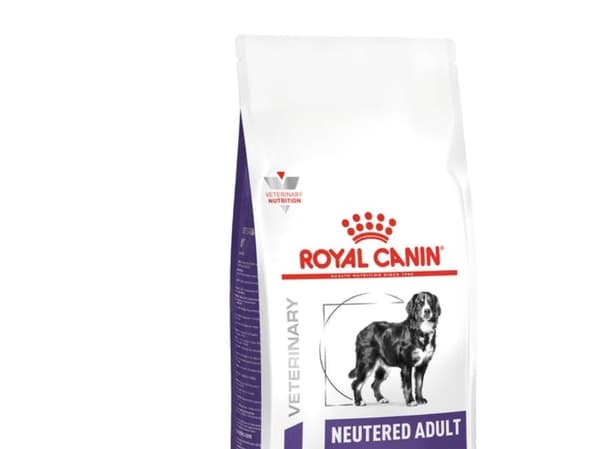 Royal Canin Adult Large Dog tørfoder 13 kg