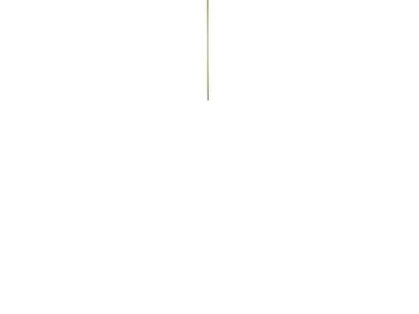Vikan kosteskaft, 25 x 1500 mm, spidset
