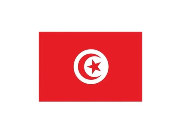Tunisian lippu 90x150 cm.