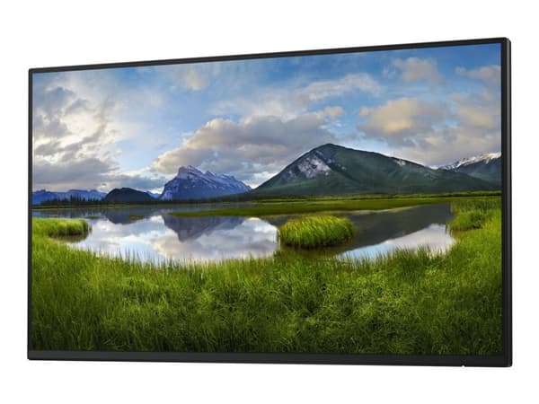 Skärm Dell P2425H (210-BMFF/5Y)