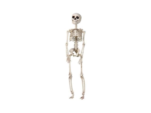 Hængende skelet, 29 cm